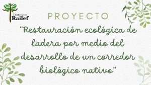 Lee más sobre el artículo Proyecto Restauración Ecológica