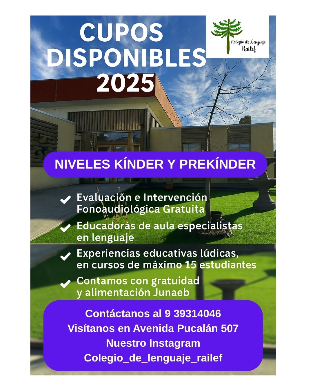 Cupos Disponibles Colegio de lenguaje 2025